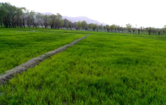 Scenic Parachinar belies an undeclared human rights free zone where they have no legal protection.